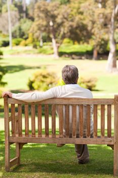 Senior man sitting on a bench back to the camera during the summer