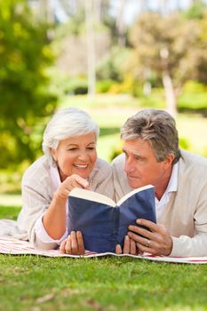 Couple reading a book in the park during the summer