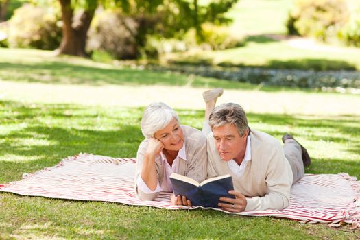 Couple reading a book in the park during the summer