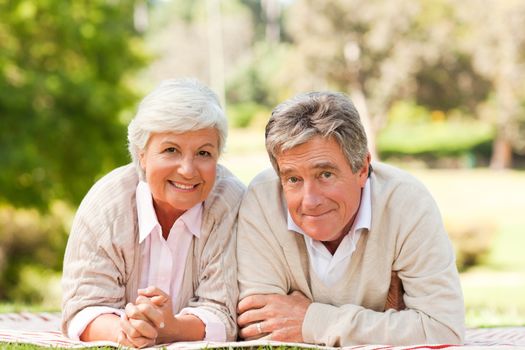 Mature couple lying down in the park during the summer