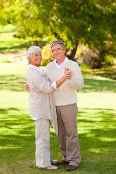 Senior couple dancing in the park during the sumer