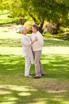 Senior couple dancing in the park during the sumer