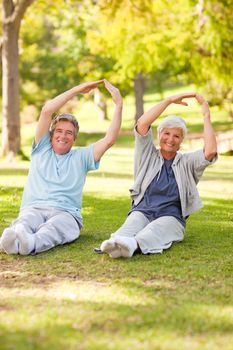 Elderly couple doing their stretches in the park during the summer