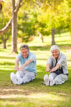 Elderly couple doing their stretches in the park during the summer