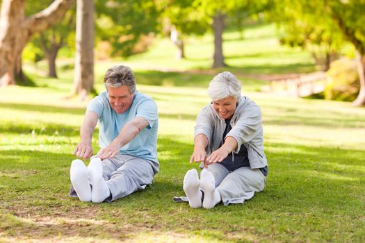 Elderly couple doing their stretches in the park during the summer