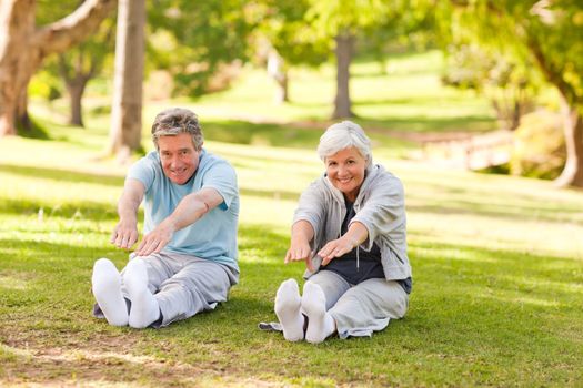 Elderly couple doing their stretches in the park during the summer