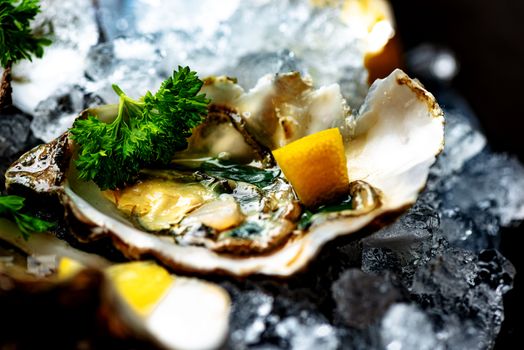 Raw opened oysters on crushed ice with lemon and parsley