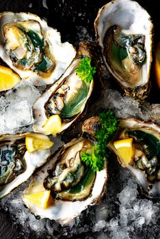 Raw opened oysters on crushed ice with lemon and parsley