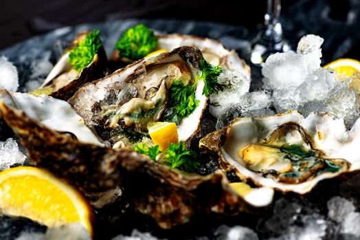 Raw opened oysters on crushed ice with lemon and parsley