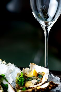 Raw opened oysters on crushed ice with lemon and parsley