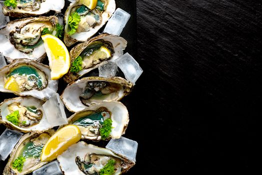 Raw opened oysters on plate with ice, lemon and parsley, copy space