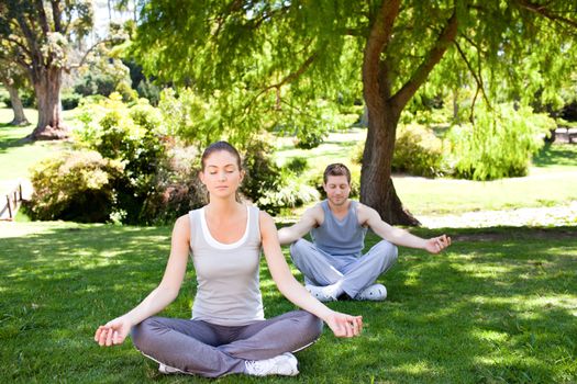 Couple practicing yoga in the park during the summer