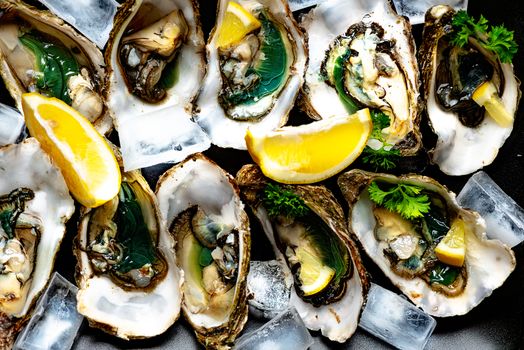 Raw opened oysters on plate with ice, lemon and parsley