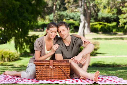 Couple picnicking in the park during the summer