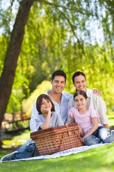 Family picnicking in the park during the summer