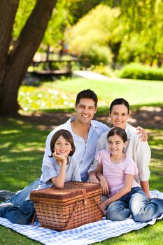 Family picnicking in the park during the summer