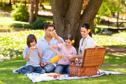Lovely family picnicking in the park during the summer