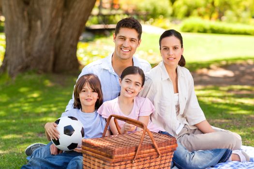 Happy family picnicking in the park during the summer