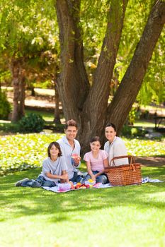 Joyful family picnicking in the park during the summer