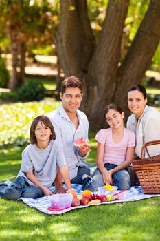 Joyful family picnicking in the park during the summer