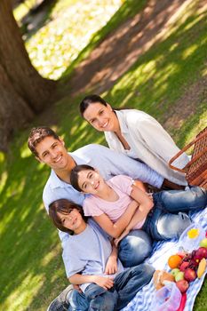 Joyful family picnicking in the park during the summer