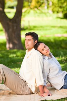 Lovers sitting back-to-back in the park during the summer