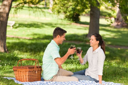 Young couple picnicking in the park during summer
