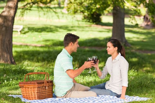 Young couple picnicking in the park during the summer