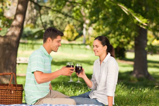 Young couple picnicking in the park during the summer