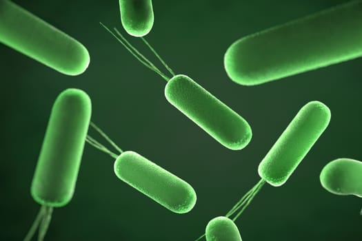close up of microscopic bacteria , 3d illustration