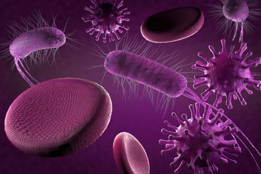 3d illustration, close up of microscopic Virus, Bacteria and Red blood cells