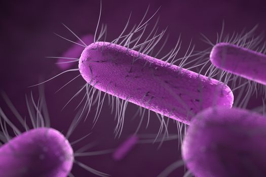 close up of microscopic bacteria , 3d illustration