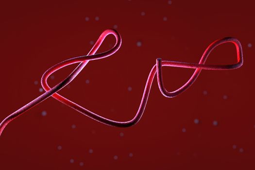 3d illustration, close up of microscope Ebola Virus