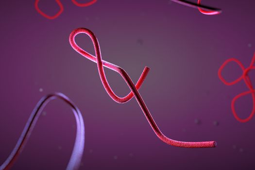 3d illustration, close up of microscope Ebola Virus