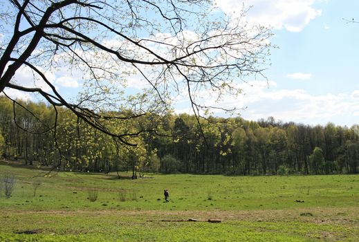 Fresh green spring nature. Young leaves appear on tree branches. Trekking on a warm April day.