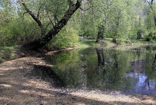 Fresh green spring nature. Young leaves appear on tree branches. Trekking on a warm April day.