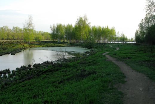 Fresh green spring nature. Young leaves appear on tree branches. Trekking on a warm April day.