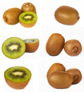 Kiwi set on a white background