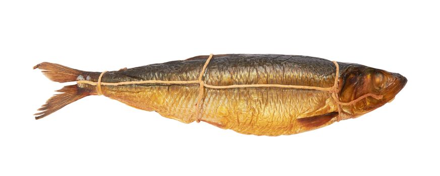 golden smoked herring fish isolated on a white background 