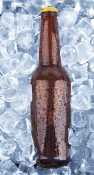cold bottle of beer frozen in ice