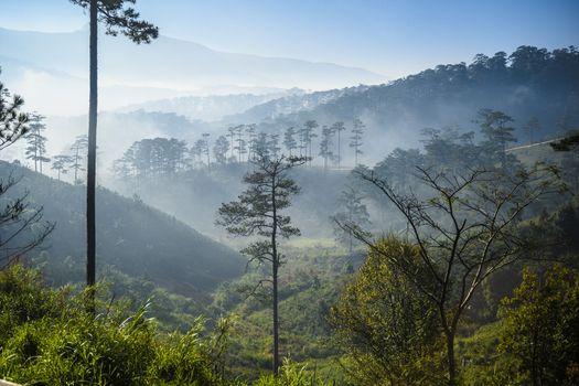 View of mountains and forests in the morning in fog in Vietnam.