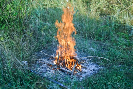 Campfire on the grass in the forest on a summer day. environment and nature