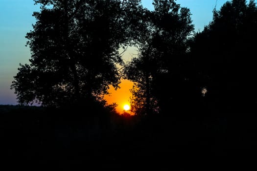 Sunset in the forest landscape sunset, forest, sun, trees, bright
