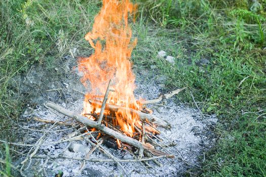 Campfire on a grass in summer day