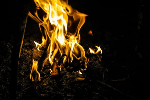 Fire flames in the dark image of a campfire at night isolated on the black background