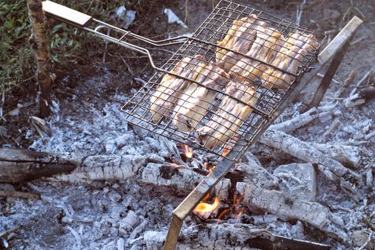 Barbecue from pork prepared outdoors on a hot summer day