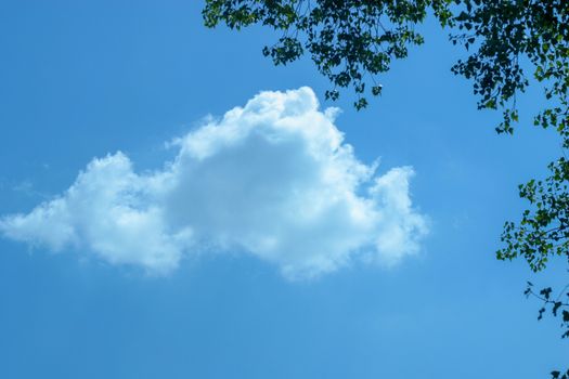 Cloud in the sky. The photo can be used for weather forecast