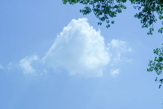 Clouds in the dark sky. The photo can be used for weather forecast