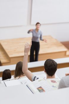 Teacher standing explaining while student hands up
