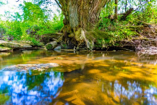 At the Felsenbad, a natural water pool with small waterfalls at lake Schussen in Upper Swabia